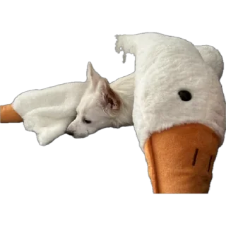 Стикер Тявка - 2