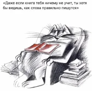 Sticker Больше стиков тут: @stikery4 - 3