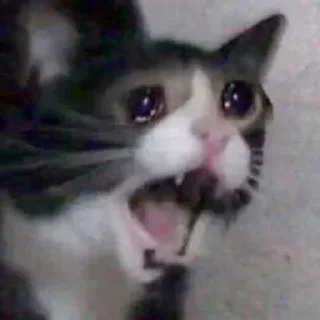 Стикер Лучьше стикеры - @lovesticers - 3