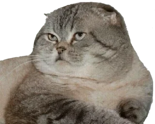 Sticker Больше стиков тут: @stikery4 - 3