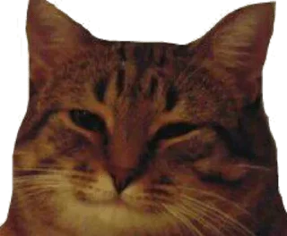 Sticker Больше стиков тут: @stikery4 - 2