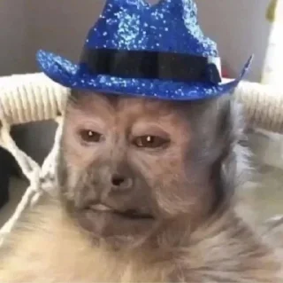 Стикер Больше стиков тут: @stikery4 - 8