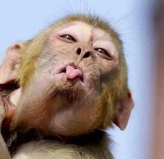 Стикер Больше стиков тут: @stikery4 - 5