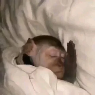 Стикер Больше стиков тут: @stikery4 - 11