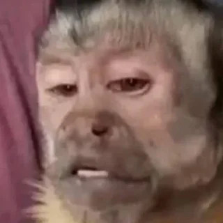 Стикер Больше стиков тут: @stikery4 - 2