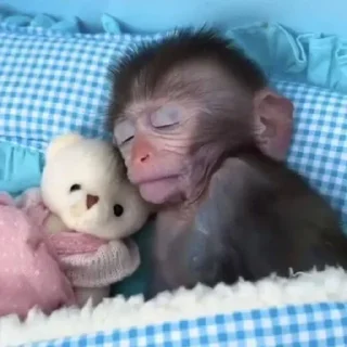 Стикер Больше стиков тут: @stikery4 - 1