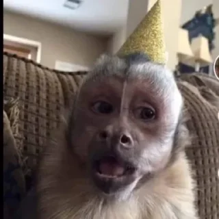 Стикер Больше стиков тут: @stikery4 - 9