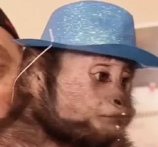 Стикер Больше стиков тут: @stikery4 - 3