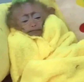 Стикер Больше стиков тут: @stikery4 - 0