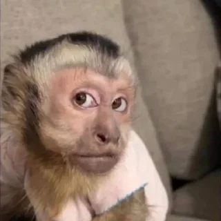 Стикер Больше стиков тут: @stikery4 - 6