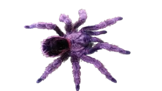 Sticker Больше стиков тут: @stikery4 - 4