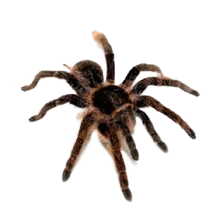 Sticker Больше стиков тут: @stikery4 - 7