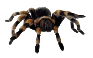 Sticker Больше стиков тут: @stikery4 - 10