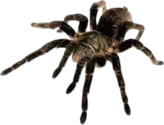 Sticker Больше стиков тут: @stikery4 - 1