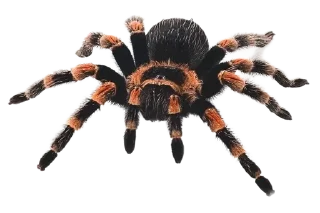 Sticker Больше стиков тут: @stikery4 - 8