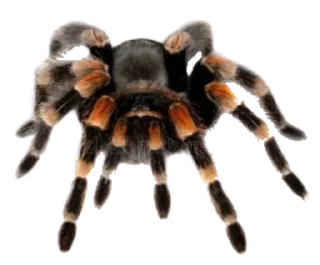 Sticker Больше стиков тут: @stikery4 - 2