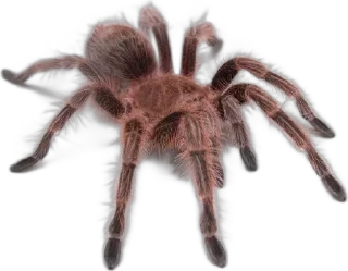 Sticker Больше стиков тут: @stikery4 - 5