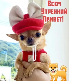 Sticker Стикеры@TgStickerRobot - 0