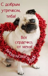 Sticker Стикеры@TgStickerRobot - 3