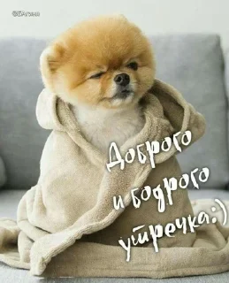 Sticker Стикеры@TgStickerRobot - 1