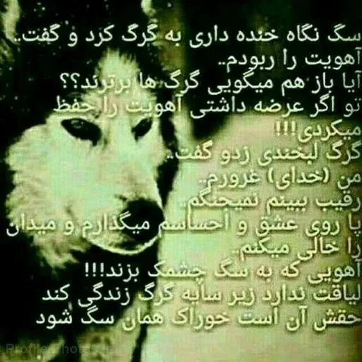 Стикер tZXgSSXgxVGgAPcZ_by_stickers_stealer_bot - 1