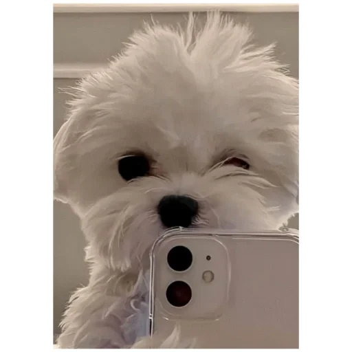 Sticker ta457bcc6_43d5_4187_a5e7_99dde40e6d49_by_emopix_stickerz_bot - 1