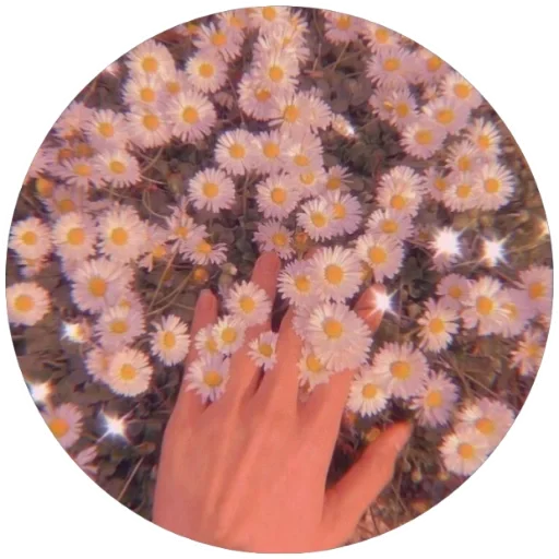 Sticker ta457bcc6_43d5_4187_a5e7_99dde40e6d49_by_emopix_stickerz_bot - 1