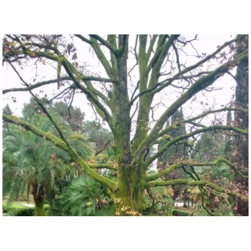 Sticker ta457bcc6_43d5_4187_a5e7_99dde40e6d49_by_emopix_stickerz_bot - 1