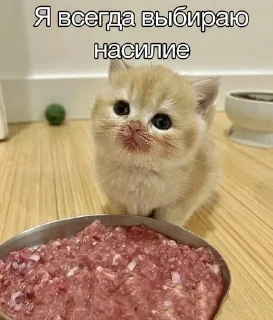 Sticker Больше стиков тут: @stikery4 - 7