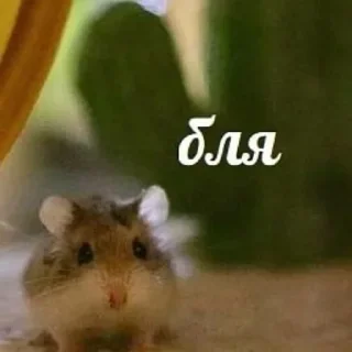 Sticker Больше стиков тут: @stikery4 - 6