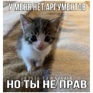 Sticker catmem (@emopix) - 1