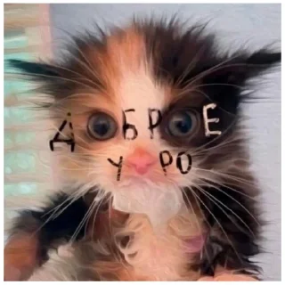 Sticker catmem (@emopix) - 9