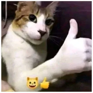 Sticker catmem (@emopix) - 10