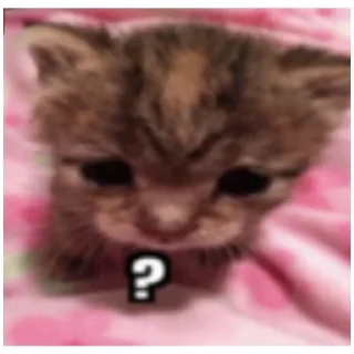 Sticker catmem (@emopix) - 3