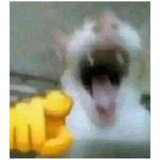 Sticker catmem (@emopix) - 8