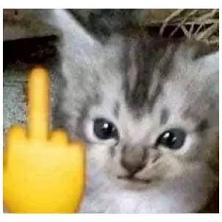 Sticker catmem (@emopix) - 6