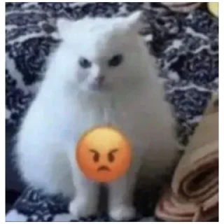 Sticker catmem (@emopix) - 7