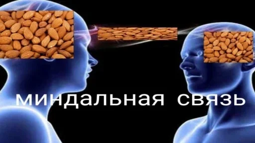 Sticker стики by @fStikBot - 8