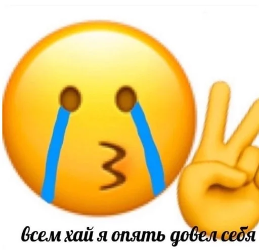 cartoon emoticon smiley