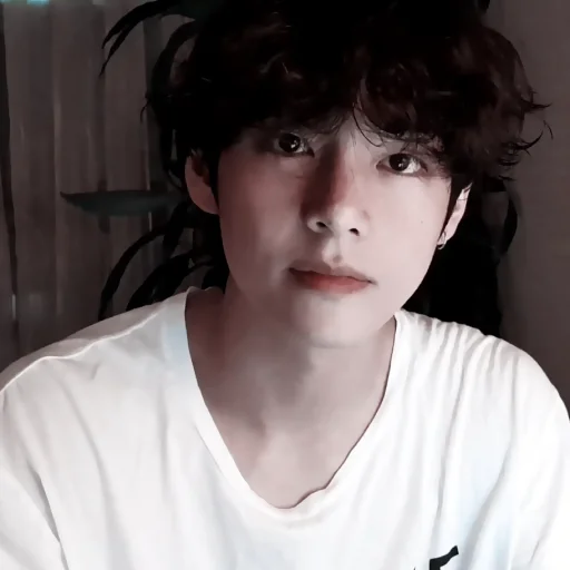 Человек человеческое лицо комнатный