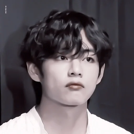 person portrait human face