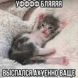 Стикер талант - 4