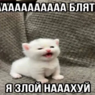 Стикер талант - 2