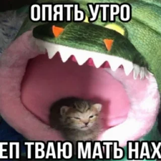 Стикер талант - 1