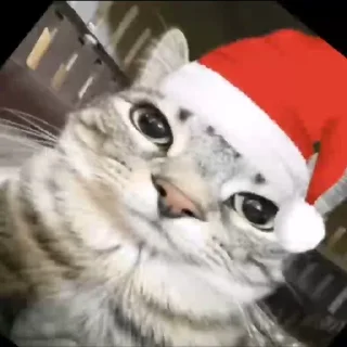 Стикер талант - 5