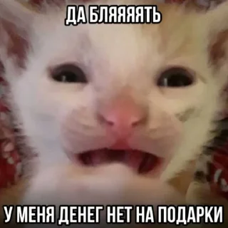 Стикер талант - 0