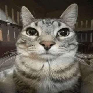 Стикер талант - 3