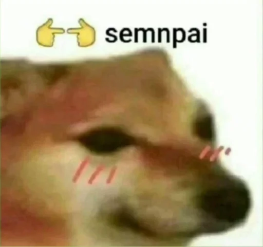 СМС животное млекопитающее