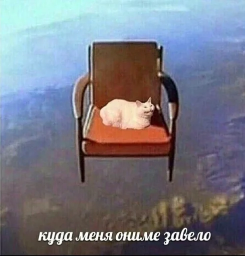 стул мебель СМС