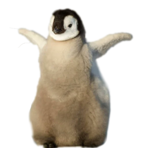 Стикер Наши стикеры - 11